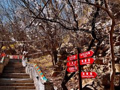-妙峰山风景名胜区