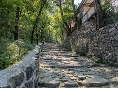 -阳台山自然风景区