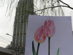 -八哥美术·成人美术画室(总校区)