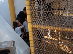 -中国福利会少年宫