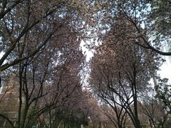 -唐城墙遗址公园