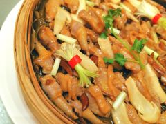 -酌宴府The China Club·广州万富希尔顿酒店(云城东路店)