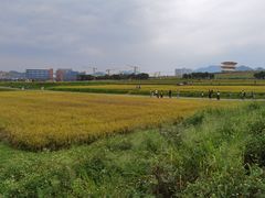 -光明小镇欢乐田园