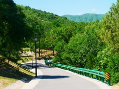 -白水寺森林公园