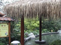 -明月山天沐温泉度假村