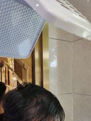 -碧莲盛·不剃发植发