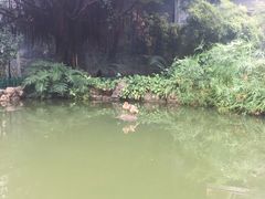 -乌山风景区