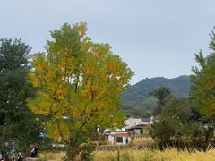 -塔川景区