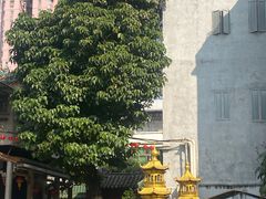 -华林禅寺
