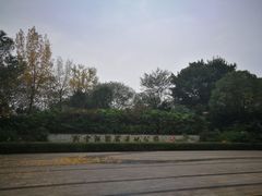 -重庆彩云湖湿地公园