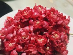 -佬麻雀·剁椒鱼头(京基KK One店)