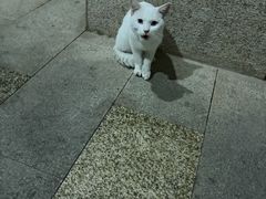 -上海怡沁园度假酒店