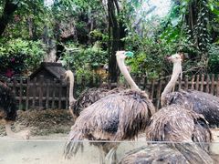 -长鹿旅游休博园