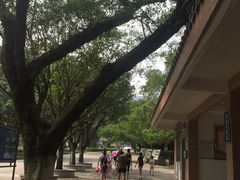 -太和古洞
