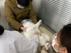 -宠颐生中康贝怡动物医院
