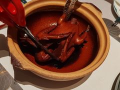 -新兴·金羊座·粤菜点心(乐峰店)