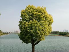 -北龙湖湿地公园