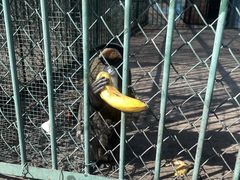 -秦皇岛野生动物园