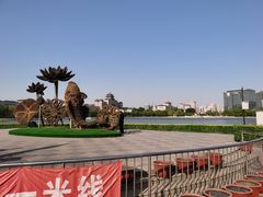 -莲花池公园