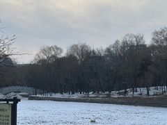 -北陵公园