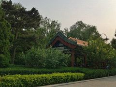 景观-菖蒲河公园