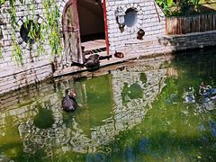 -南宫五洲植物乐园