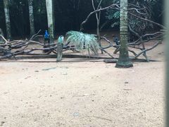 -深圳野生动物园