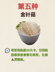 -Fundi张玉珊修身堂·indiba·BTL科技瘦身