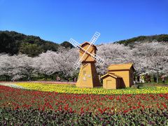 -苏州上方山国家森林公园