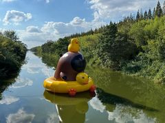 -黄海国家森林公园