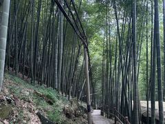 -藏龙百瀑风景区