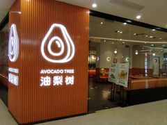 -油梨树 AVOCADO TREE(亮马桥店)