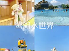 -美的鹭湖森林度假区