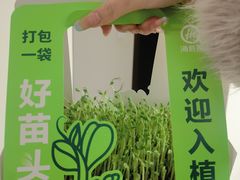 -海底捞火锅(新华联梦想城店)