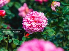 -人民公园(罗湖区)