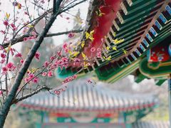 -宣武艺园