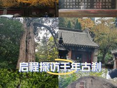 -青岛崂山太清宫
