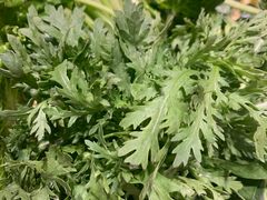 茼蒿-五星桥原切肥牛火锅·30年专注好牛肉(湖塘店)