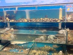 -仙螺岛海鲜自助餐厅(总店)