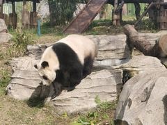 -武汉动物园