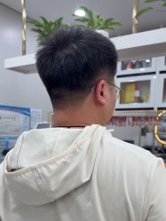 -YESIDO椰岛造型
