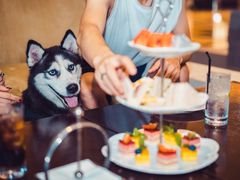 -京津新城温德姆至尊酒店(珠江大道店)