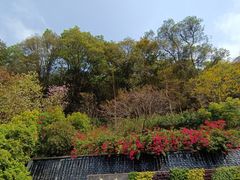 -云溪植物园