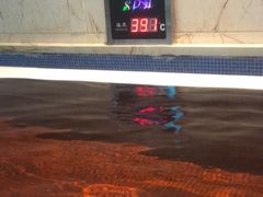 -水晶之星洗浴温泉汗蒸