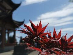 -钟鼎寺