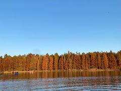 -上海海湾国家森林公园