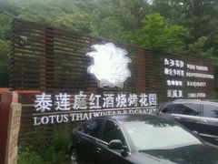 -Local泰莲庭(虹鳟鱼店)