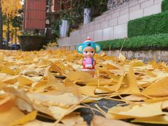 -徐家汇源景区-衡山坊