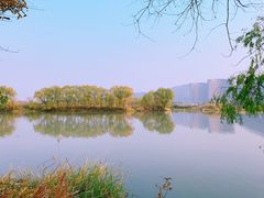 -长兴太湖图影湿地文化园