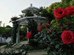 -东湖落雁景区